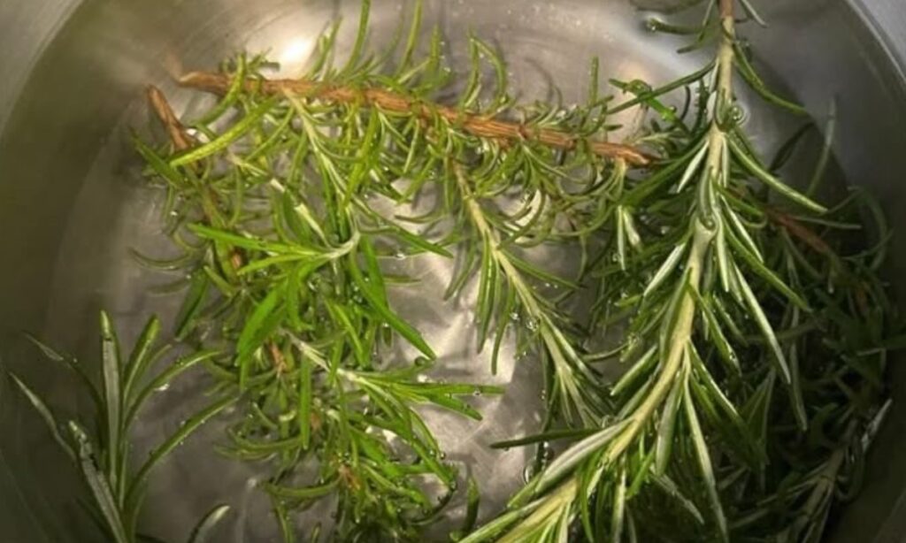 DIY Rosemary Hair Toner