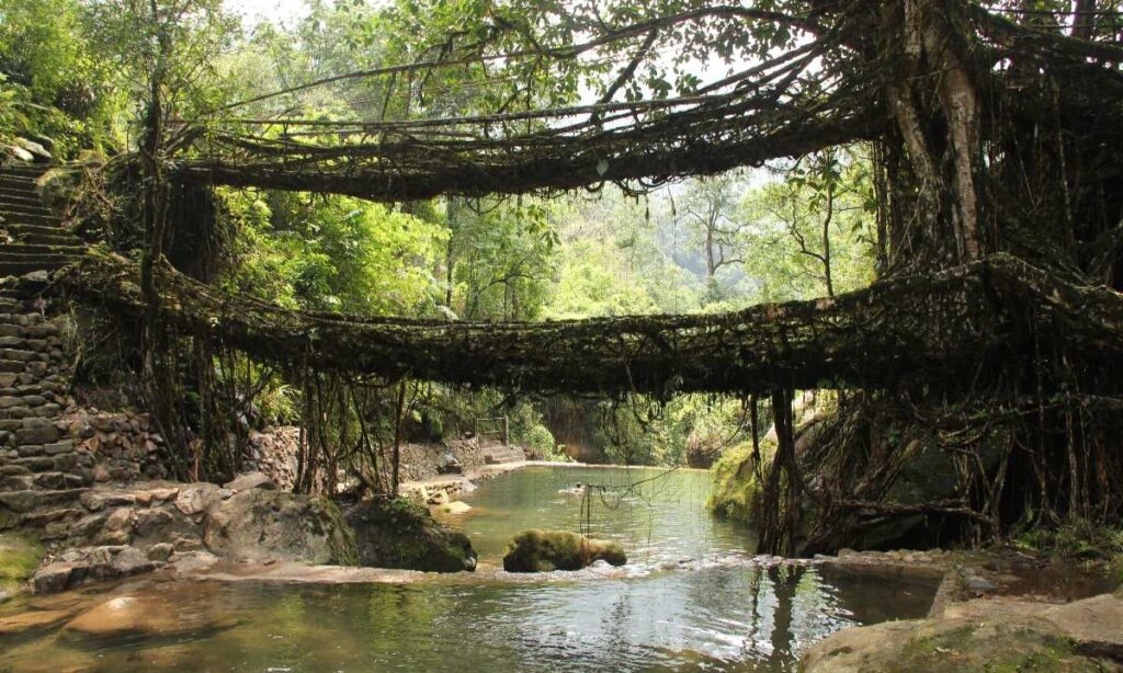 Best Time To Visit Meghalaya