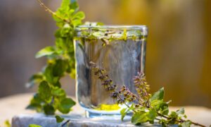 Tulsi Leaves For Health