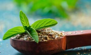 Tulsi Leaves For Health