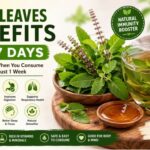 Tulsi Leaves For Health
