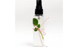 Homemade Scalp Tonic