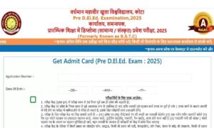 Rajasthan Pre DElEd BSTC Admit Card
