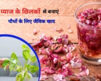 Liquid Fertilizer