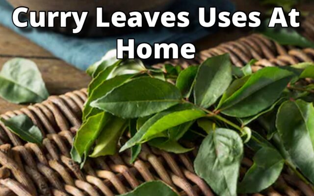 Curry Leaves Uses At Home