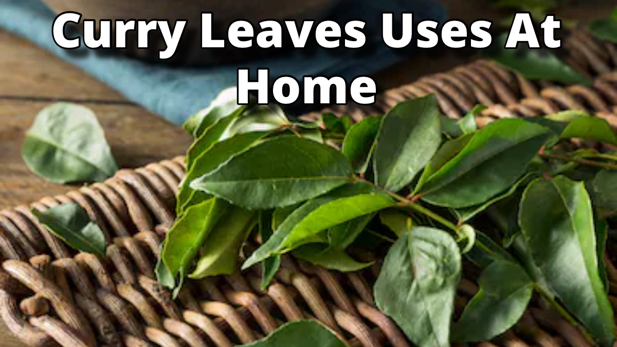 Curry Leaves Uses At Home