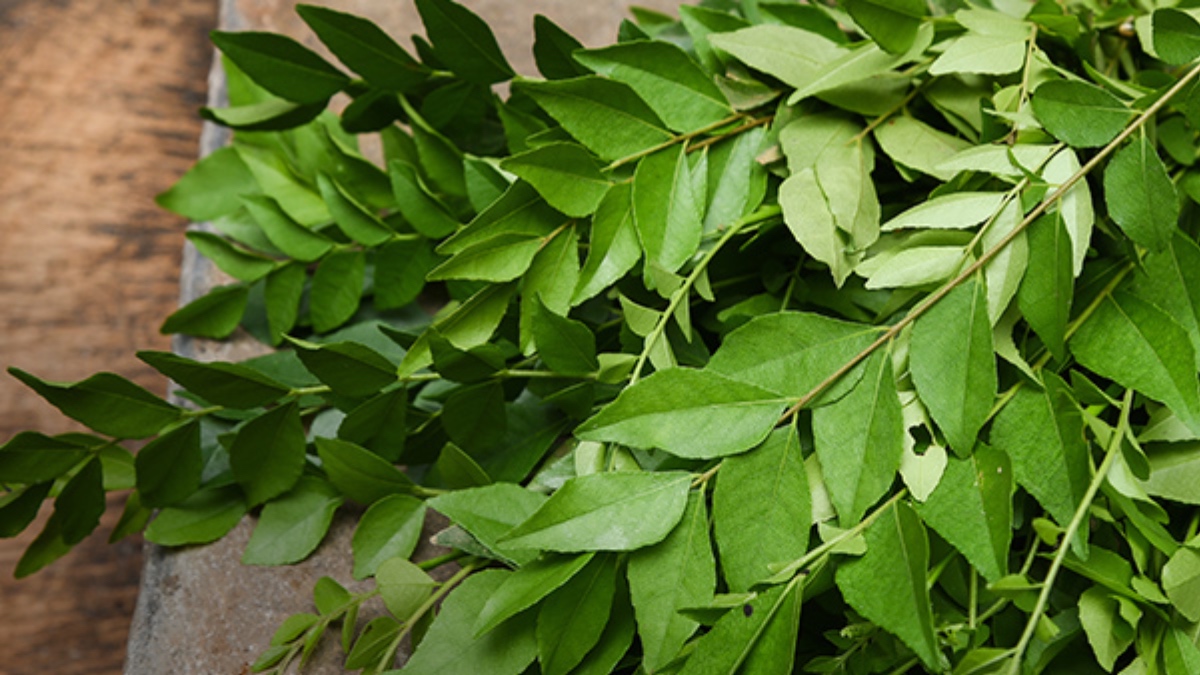 Curry Leaves Uses At Home